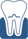 Animated tooth and gum tissue