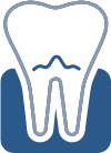 Animated tooth and gum tissue